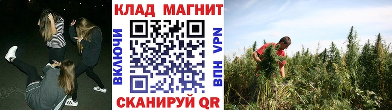 Где продают наркотики Новочебоксарск ГАШИШ Меф мяу мяу
