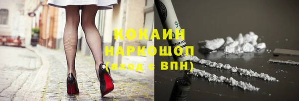 ГАЛЛЮЦИНОГЕННЫЕ ГРИБЫ Абаза