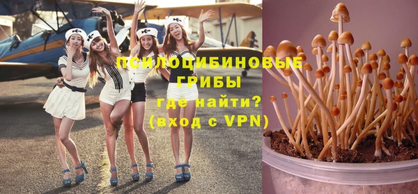 ГАЛЛЮЦИНОГЕННЫЕ ГРИБЫ Абаза