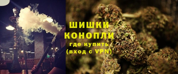 ГАЛЛЮЦИНОГЕННЫЕ ГРИБЫ Абаза